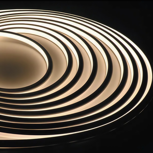 16x16mm DC 12V 24V SMD 2835 120LED/M 3838 RGB Neon Ống ánh sáng <span class=keywords><strong>LED</strong></span> Strip ánh sáng Neon Flex - Product Image 3