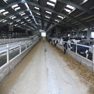 Chèvre de hangar de ferme d'élevage de conception de structure métallique/bâtiment de fermes de bétail - Product Image 3