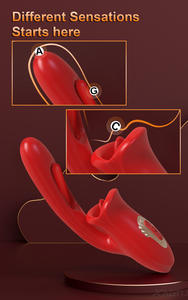 Vibratore Realistico a Forma di Coniglio per Punto G con Silicone Medicale Riscaldante, 10 Frequenze, Ricaricabile USB per Uso Domestico/Auto/Hotel - Product Image 6