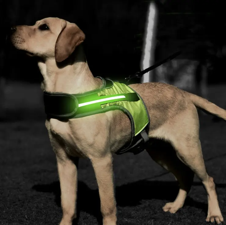 Nachtelijk Hondentuig Met Ledverlichting Voor Buitenwandelingen, Reflecterend Hondenvest Met Anti-Ontsnappingsontwerp