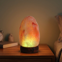 Lampe en sel rose de l'Himalaya 100% pur, qualité export premium, base en bois, mini lampe USB de haute qualité, écologique, Feng Shui