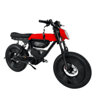 Vélo de montagne électrique, moteur sans balais 1500W, batterie lithium-ion 48V 13/21Ah, vitesse maximale 60 km/h, autonomie 80 km, alliage d'aluminium