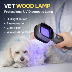 Lámpara de Wood Veterinaria Portátil, Luz UV Recargable, Detector de Infecciones de Piel para Perros y Gatos - Product Image 3