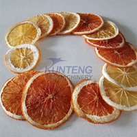 Industrie Citrus Droger Oranje Slice Fruit Thee Droogkamer Oranje Slice Drogen Complete Set Van Apparatuur