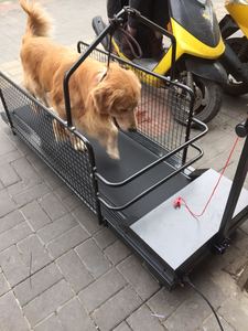 USMILEPET ของเล่นฝึกสุนัขคุณภาพสูง ปลอดภัย เป็นมิตรกับสิ่งแวดล้อม ได้รับการรับรองมาตรฐาน CE ผลิตจากท่อเหล็กและผ้า Oxford - Product Image 2