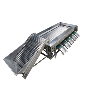 Máquina de clasificación de fruta cítrica, rodillo comercial de alta calidad, tipo de fruta de arándano, a <span class=keywords><strong>precio</strong></span> de fábrica - Product Image 5