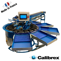 Máquina clasificadora de peso CALIBREX fabricada en Francia para frutas y verduras alargadas y frágiles, y productos grandes como pepinos.