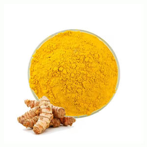 Yüksek Kaliteli Gıda Sınıfı Zerdeçal Kökü Ekstresi Tozu, Kurkumin İçerir, Su Çözünürlüklü 10:1, Vakumlu Varil Ambalajında - Product Image 6