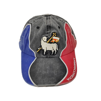 Casquette de baseball vintage sur mesure nouveau design patchworks brodés 6 panneaux style ethnique amérique lavé chapeau de papa de détresse
