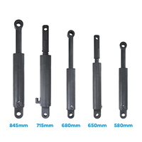 High Performance Truck Tailgate Hydraulic Single-Acting Ram Lifting Cylinder Hard Chrome Plated for Delivery Truck Taillift
