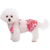 Maillot de bain pour chien, vêtements de plage hawaïens, robe de bain d'été pour chien, maillot de bain sexy pour chiot, bikini pour chien