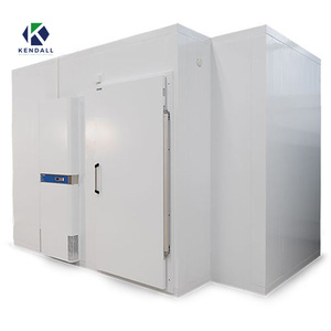 Cámaras <span class=keywords><strong>de</strong></span> congelación Cámara <span class=keywords><strong>de</strong></span> congelación Froide Congelador Compresor Habitaciones Refrigerador Contenedores para carne - Product Image 5