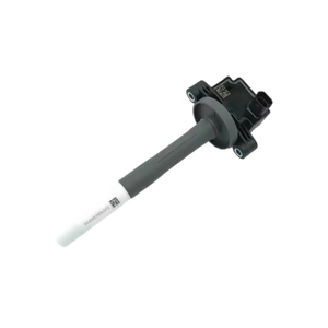 इग्निशन कॉइल असेंबली vg1238080015 स्पार्क प्लग इग्निशन कॉइल wg1238080015 स्पार्क प्लग इग्निशन कॉइल wg1238080015 स्पार्क प्लग इग्निशन T12.42-50 ट्रक इंजन भागों - Product Image 4