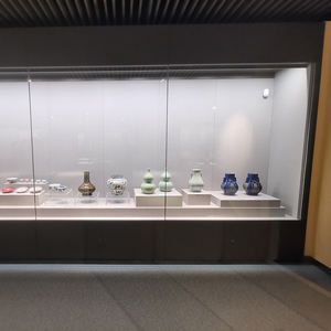 संग्रहालय और खुदरा शोरूम के लिए पेशेवर प्रदर्शन अलमारियाँ - Product Image 6