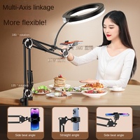 Anneau lumineux LED cantilever de 10 pouces de haute qualité avec support de téléphone, température de couleur réglable, CRI élevé Ra>95 pour l'éclairage TikTok