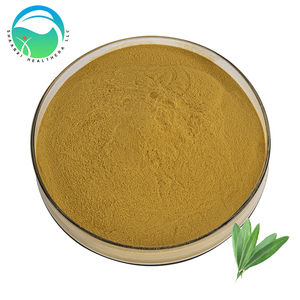 100% Ekstrak Daun Zaitun Herbal Alami Bubuk Bersertifikat HPLC Kemurnian Tinggi <span class=keywords><strong>Oleuropein</strong></span> Pasokan Massal dalam Drum untuk Makanan Kosmetik - Product Image 1