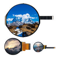 2.1 inci layar bulat 480*480 RGB 40PIN TFT Fhd IPS 2.1 inci panel bulat layar lcd produsen