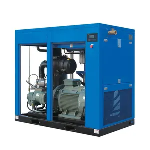 Electric-Driven Oil Air Compressor 12V 200 PSI 12V 24V High Pressure Lpg Air Screw Compressor with Filter