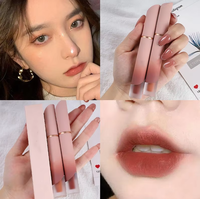 Fournitures cosmétiques DIY : Gloss à lèvres liquide hydratant, parfumé, végétalien, longue tenue, mat et waterproof, personnalisable avec votre logo