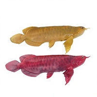 Robot poisson rouge bionique FULLDEPTH |   Matériel composite, profondeur 20 m, batterie 12H, commande automatique/à distance |   Aquarium pour animaux marins 69x20cm
