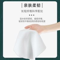 Papier toilette extra épais 4 plis, mouchoirs en papier facial, serviettes en papier en pâte de bois, serviettes en papier, mouchoirs en papier en gros, mouchoirs faciaux AFH pour usage commercial