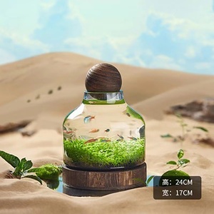 Terrarium en verre de jardinière moderne de simplicité de table ronde DIY avec <span class=keywords><strong>vase</strong></span> en verre <span class=keywords><strong>transparent</strong></span> de mariage en bois - Product Image 1