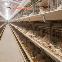 Nouvelle cage à poulets automatique à 3 niveaux de type H pour élevage avicole commercial, certifiée ISO CE, longue durée de vie