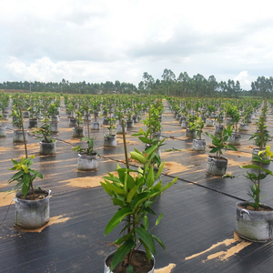 Paillis anti-mauvaises herbes en fibre de coco, tapis agricole pour arbres, tissu tissé en <span class=keywords><strong>feutre</strong></span>, tapis anti-mauvaises herbes - Product Image 2