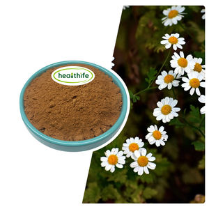 Healthife Supply 1%-5% Natural <span class=keywords><strong>Parthenium</strong></span> Feverfew Extracto de hierbas en polvo - Product Image 2