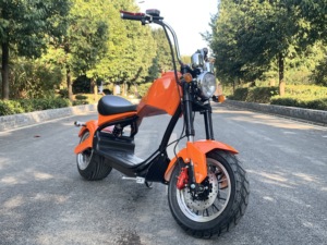 Véhicule de tourisme chinois à grande vitesse 60V 20AH 2000W homologué pour la route, en promotion depuis l'entrepôt européen - Product Image 4