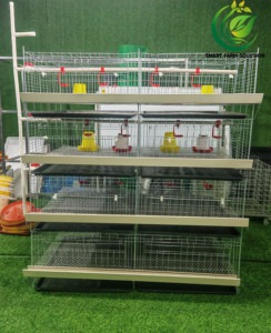 Nueva Jaula para Pollitos de Acero Galvanizado Tipo H de Cuatro Niveles y <span class=keywords><strong>Ocho</strong></span> Puertas, de Alta Calidad, Fabricada con Acero Q235 con Alto Contenido de Carbono, Entrega en 45 Días - Product Image 3
