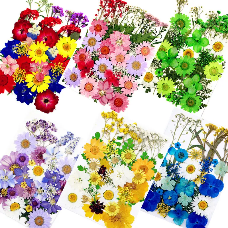 E2933 Vente en gros Mini sac de matériaux à fleurs sèches DIY Maquillage Nail Art Téléphone Cadre Décor Vraies fleurs séchées pressées naturelles pour résine