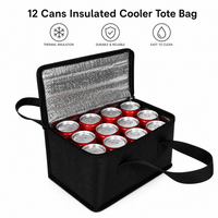 Sac isotherme non tissé pour canettes de bière, 6-8 canettes, sac à déjeuner thermique souple, fermeture éclair, doublure en aluminium, 15-30L, pique-nique, camping, barbecue