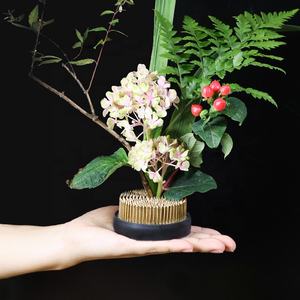 46mmL profesional kenzan japonés ikebana kenzan flor Rana redonda <span class=keywords><strong>bonsai</strong></span> Starter Kit para arreglos DIY - Product Image 5