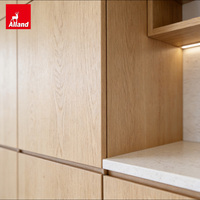 Comptoir en marbre plat de qualité commerciale Alland, style minimaliste, avec armoires de cuisine sans cadre en chêne massif blanc pour villa
