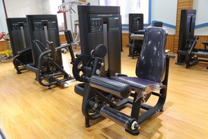 Fitness aleti inci Delt Pec Fly makinesi spor fabrika çift fonksiyonlu ticari spor salonu ekipmanı - Product Image 6