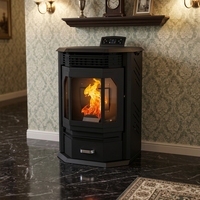Poêle à granulés de bois automatique de 12,2 kW avec alimentation automatique, sans fumée, compatible Wi-Fi, pour chauffage intérieur, foyer à granulés
