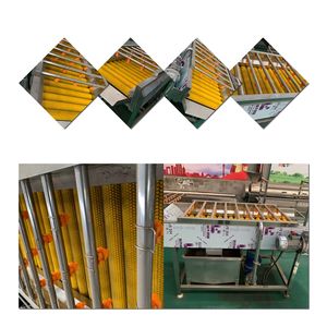 Lavadora de Burbujas Totalmente Automática para Verduras y Frutas, Máquina para Lavar Jengibre, Yuca y Patatas - Product Image 2