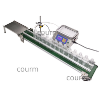 Distributeur de pompe magnétique de machine de remplissage liquide semi-automatique de COURM-6500 pour les cosmétiques de bière de poudre dans l'emballage en verre en plastique