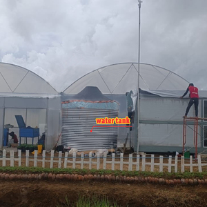 Tomate Invernadero Multi-Span Invernadero Marco Película plástica Poly Serre Invernadero - Product Image 5