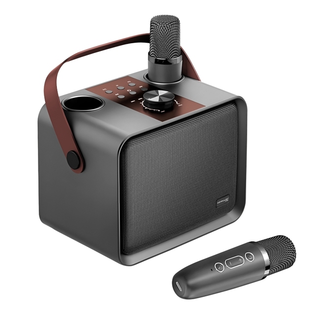 20W Wireless Portable Karaoke Speaker with 2 Wireless Microphones 2000mAh Rechargeable Battery for Home Party KTV