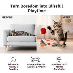Factory Direct Sales Pet Toys Feather Tail Ball Smart Automatic Interactive Dog Ball Toy Electric Speedy Tail Cat Toy Ball - Product Image 3