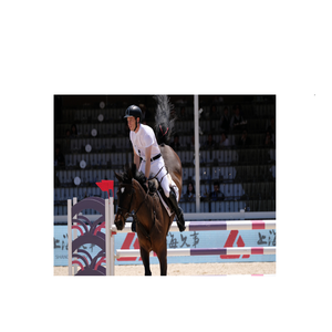 Highest Barriers to Frame Horse <strong>Jump</strong> Poles Horse <strong>Jump</strong> - Product Image 4