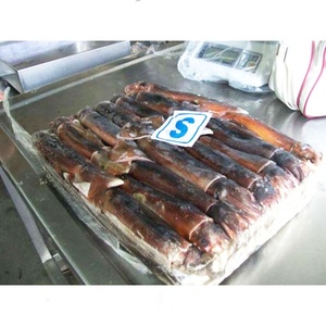 Fresco congelado de la argentina calamar illex toda la Ronda - Product Image 5