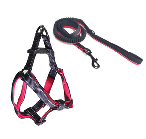 Verstellbarer Hunde gurt mit <span class=keywords><strong>Nylon</strong></span> riemen und Schnell verschluss leine Set Kunden spezifisches Polyester gewebe für Tierhalter - Product Image 3