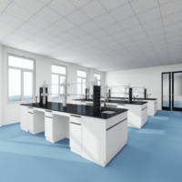 Nouveau modèle Banc mural de laboratoire Mobilier de laboratoire de chimie Vente en gros établi de laboratoire scolaire Table d'établi