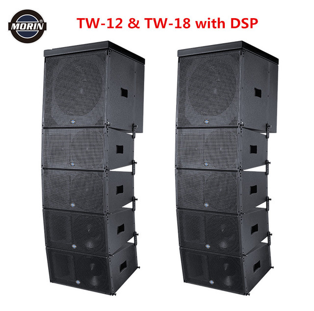 Professional Audio Active Line Array Speaker with Amplifier Borad TW-12