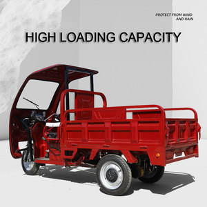 Triciclo Eléctrico de Carga con Diseño Personalizado <span class=keywords><strong>E</strong></span> Electro Farm, con Caja de Carga, Cinco Ruedas y Techo Comercial - Product Image 3