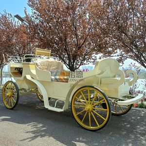 Caleches Turísticas Eléctricas de Estilo Europeo, Carros de Caballos para Turismo, Carrozas Victoria para Recorridos Turísticos - Product Image 4