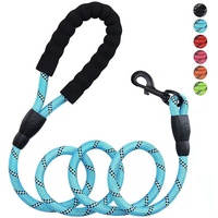 Laisse pour Chien Tressée Ronde Solide et Réfléchissante en Nylon, Multicolore, pour 2024 – Corde pour Chien Perro
